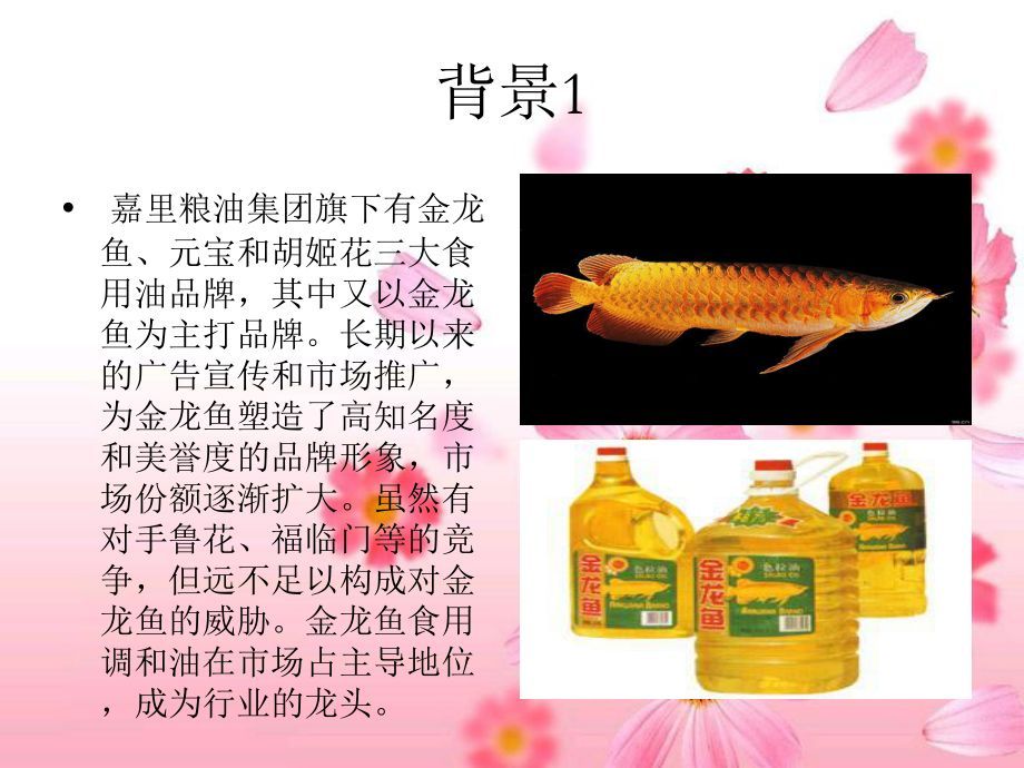 金龍魚宣傳詞怎么寫的（金龍魚廣告創意背后的故事金龍魚廣告創意背后的故事）