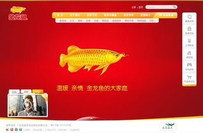 金龍魚宣傳詞怎么寫的（金龍魚廣告創意背后的故事金龍魚廣告創意背后的故事）