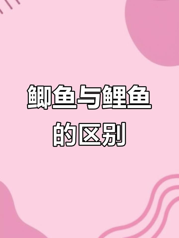 鯉魚鯽魚的區別