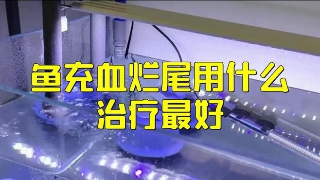 龍魚充血病有哪些治療方法？