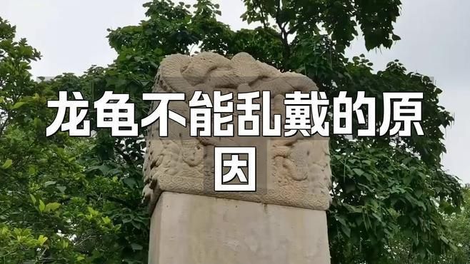 龍龜佩戴有哪些禁忌 龍龜佩戴有哪些禁忌 龍魚百科 第6張
