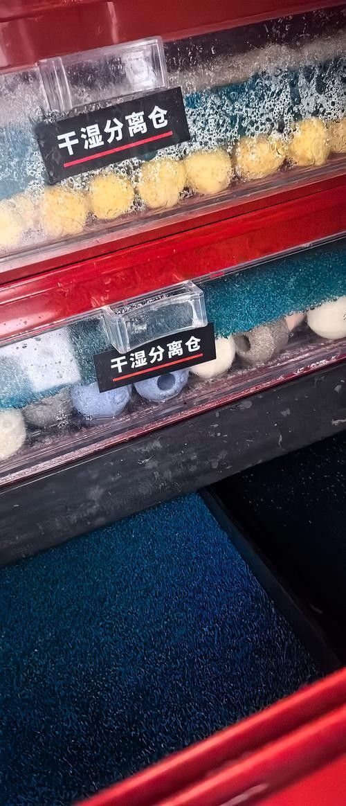 龍魚濾材哪個牌子好一點啊圖片 龍魚濾材哪個牌子好一點啊圖片 龍魚百科 第12張