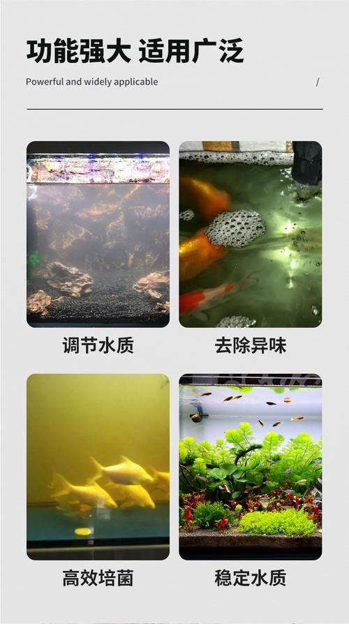 龍魚濾材哪個牌子好一點啊圖片 龍魚濾材哪個牌子好一點啊圖片 龍魚百科 第11張