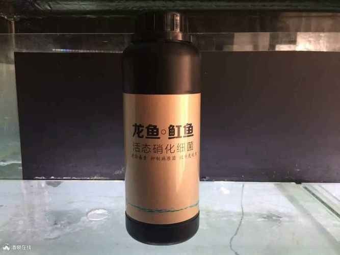 龍魚濾材哪個牌子好一點啊圖片 龍魚濾材哪個牌子好一點啊圖片 龍魚百科 第15張
