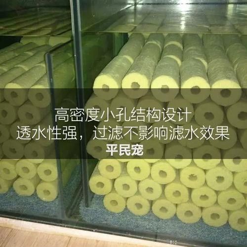 龍魚濾材哪個牌子好一點啊圖片 龍魚濾材哪個牌子好一點啊圖片 龍魚百科 第29張