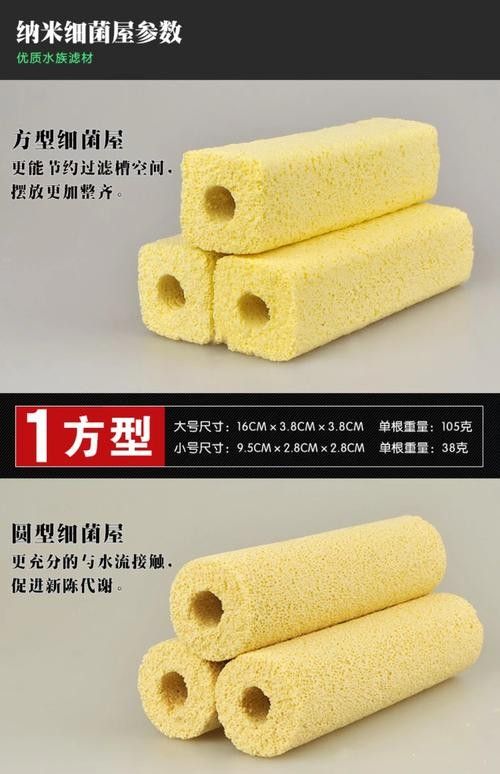 龍魚濾材哪個牌子好一點啊圖片 龍魚濾材哪個牌子好一點啊圖片 龍魚百科 第19張