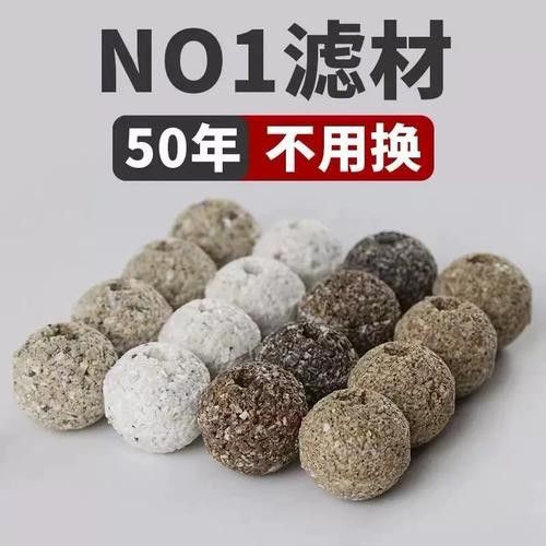 龍魚濾材哪個牌子好一點啊圖片 龍魚濾材哪個牌子好一點啊圖片 龍魚百科 第18張
