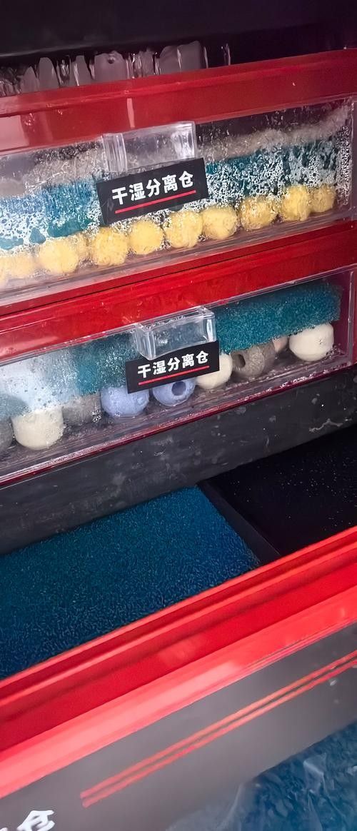 龍魚濾材哪個牌子好一點啊圖片 龍魚濾材哪個牌子好一點啊圖片 龍魚百科 第14張