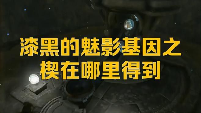如何獲取酋雷姆的基因之楔？
