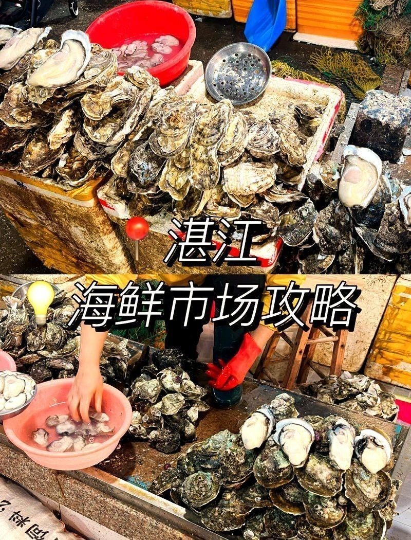 湛江龍魚(yú)價(jià)格行情最新