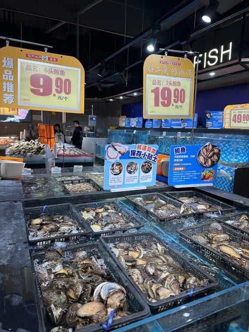 湛江龍魚(yú)價(jià)格行情最新