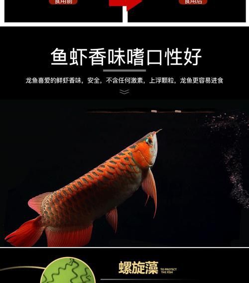 紅龍魚增色飼料配方大全圖 紅龍魚增色飼料配方大全圖 龍魚百科 第41張