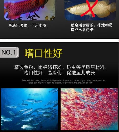 紅龍魚增色飼料配方大全圖 紅龍魚增色飼料配方大全圖 龍魚百科 第42張