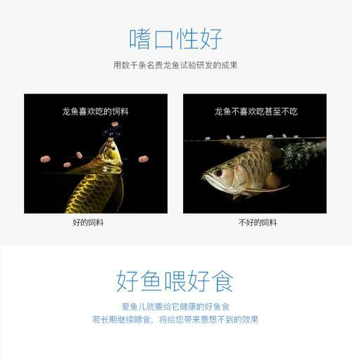 紅龍魚增色飼料配方大全圖 紅龍魚增色飼料配方大全圖 龍魚百科 第43張