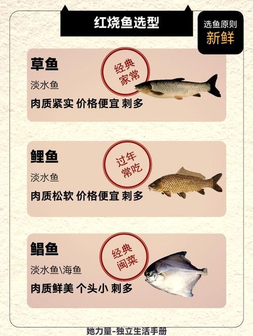 紅龍魚增色飼料配方大全圖 紅龍魚增色飼料配方大全圖 龍魚百科 第45張