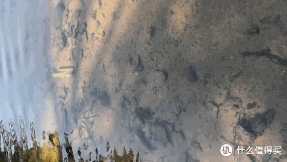 養龍魚的缸可以做溪流缸嗎：養龍魚的缸可以做溪流缸嗎養龍魚的缸可以做溪流缸嗎 養龍魚的缸可以做溪流缸嗎：養龍魚的缸可以做溪流缸嗎養龍魚的缸可以做溪流缸嗎 龍魚百科 第3張