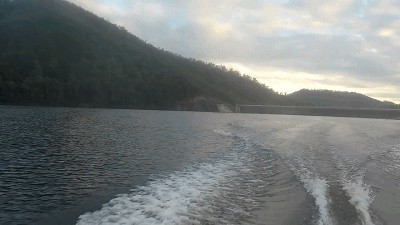 龍魚原生環境要求：模擬龍魚原生食物種類介紹模擬龍魚原生食物種類介紹