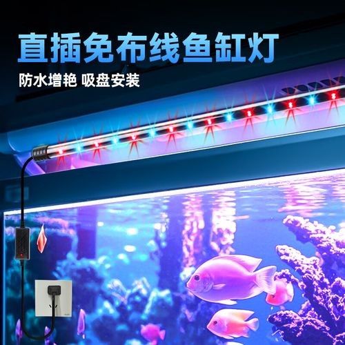 龍魚專用燈管品牌有哪些牌子 龍魚百科 第10張 龍魚專用燈管品牌有哪些牌子 龍魚專用燈管品牌有哪些牌子 龍魚百科 第10張