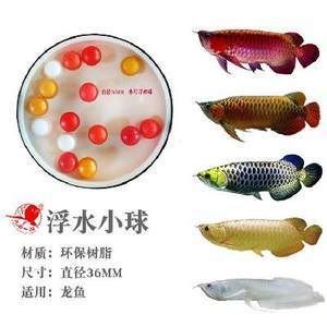 龍魚浮在水面不動怎么辦：龍魚呆在水面不動怎么辦 龍魚浮在水面不動怎么辦：龍魚呆在水面不動怎么辦 龍魚百科 第1張