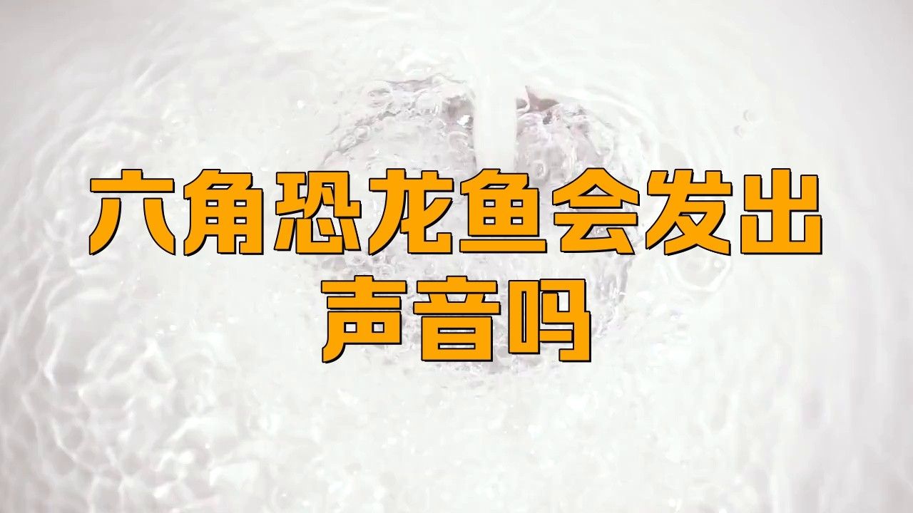 六角恐龍魚能聽見聲音嗎