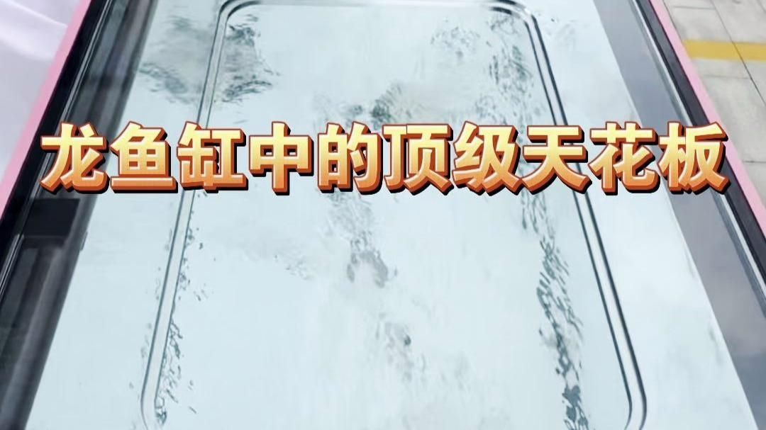 龍魚缸什么牌子性價(jià)比好 龍魚缸什么牌子性價(jià)比好 龍魚百科 第4張