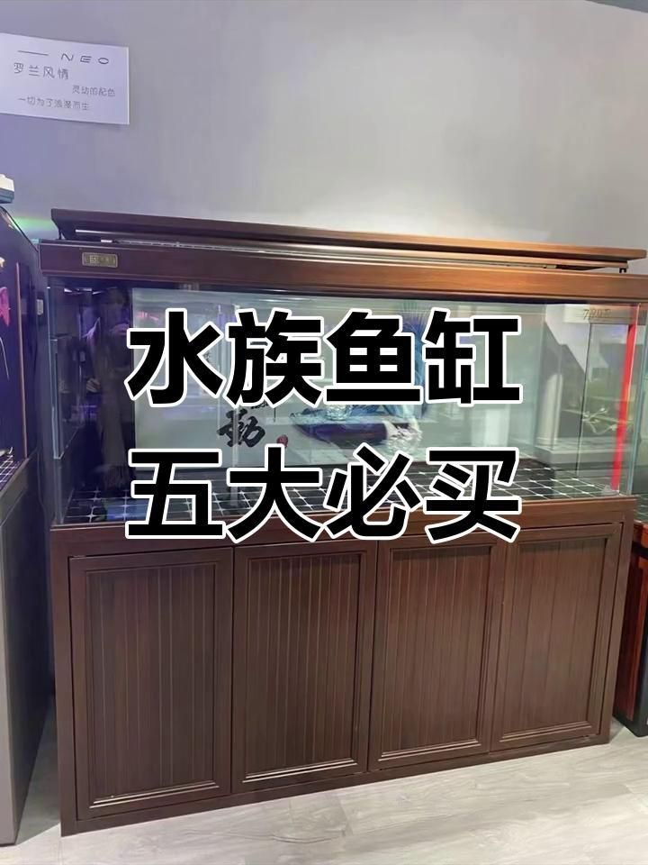 龍魚缸什么牌子性價(jià)比好 龍魚缸什么牌子性價(jià)比好 龍魚百科 第5張