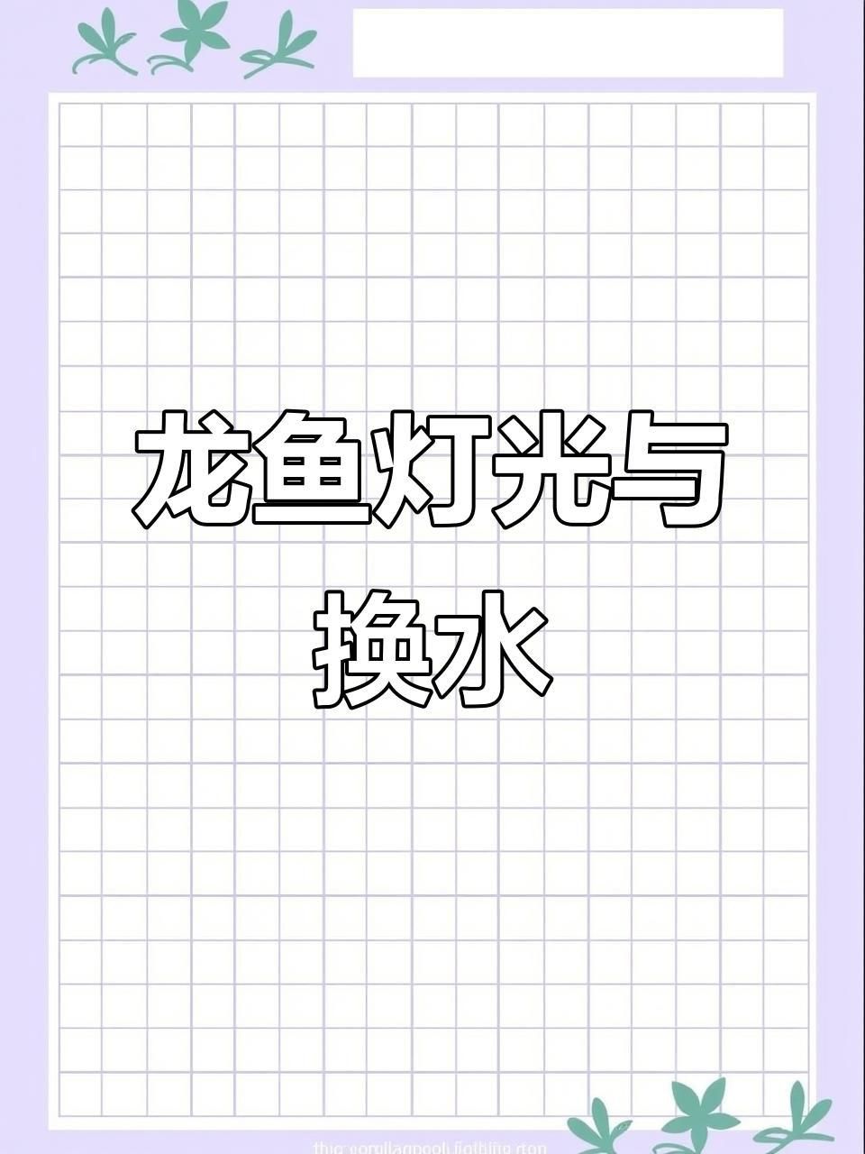 龍魚要一般開燈多久
