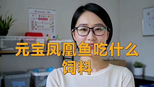 祥龍魚場新品在哪里可以購買？ 祥龍魚場新品在哪里可以購買？ 龍魚百科 第4張