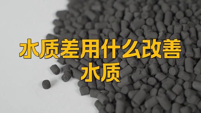 治療期間如何調整水質？ 治療期間如何調整水質？ 龍魚百科 第2張