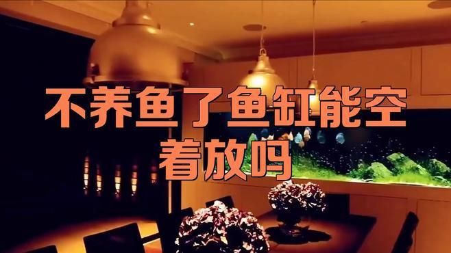 空魚缸放10大忌