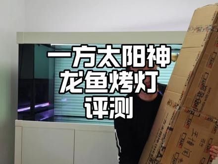 龍魚用什么燈上色比較好
