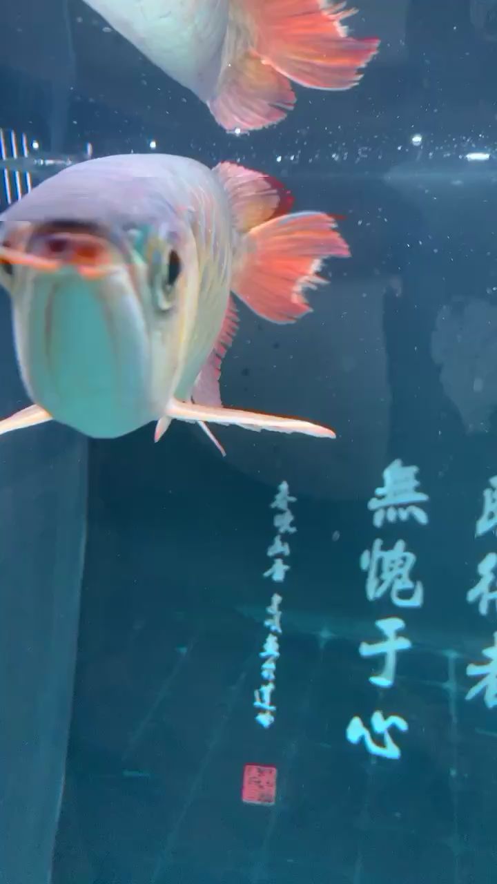 求大神指教下