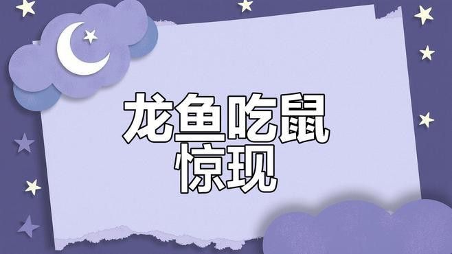 深海龍魚(yú)介紹圖片
