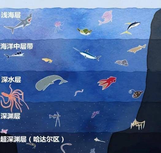 深海龍魚(yú)介紹圖片
