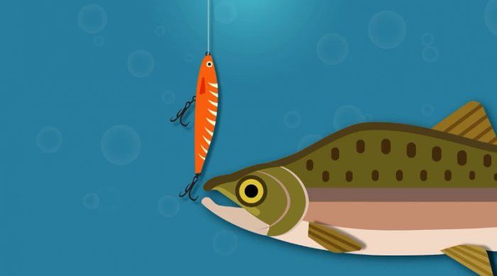 金龍魚能感知疼痛嗎？