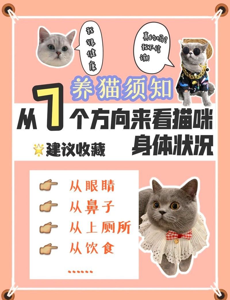 如何判斷龍須貓的健康狀況？ 如何判斷龍須貓的健康狀況？ 龍魚百科 第4張