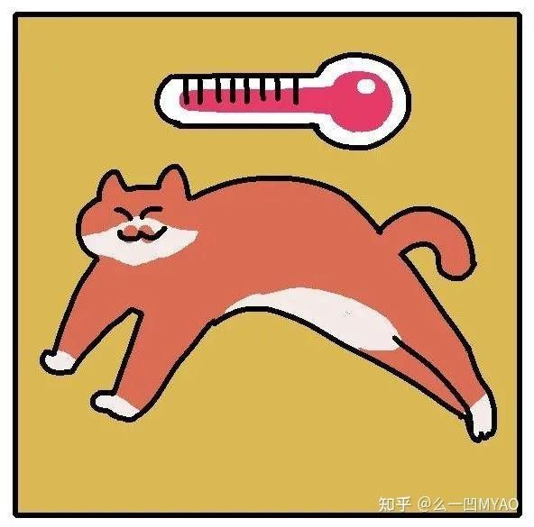 如何判斷龍須貓的健康狀況？ 如何判斷龍須貓的健康狀況？ 龍魚百科 第6張