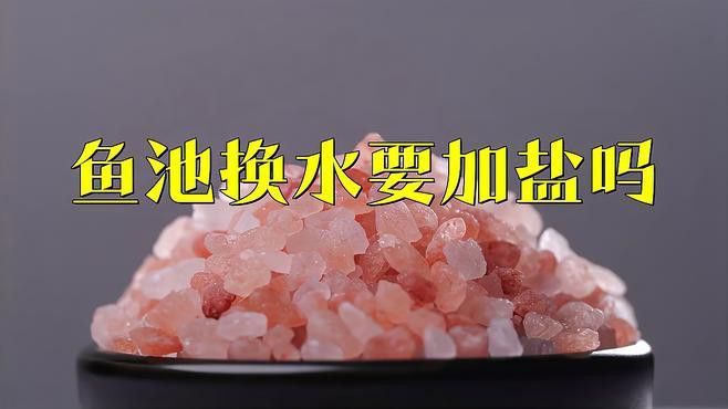 小火龍魚換水時需要放鹽嗎？ 小火龍魚換水時需要放鹽嗎？ 龍魚百科 第2張