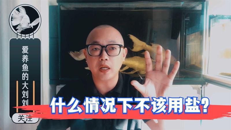 小火龍魚換水時需要放鹽嗎？ 小火龍魚換水時需要放鹽嗎？ 龍魚百科 第5張