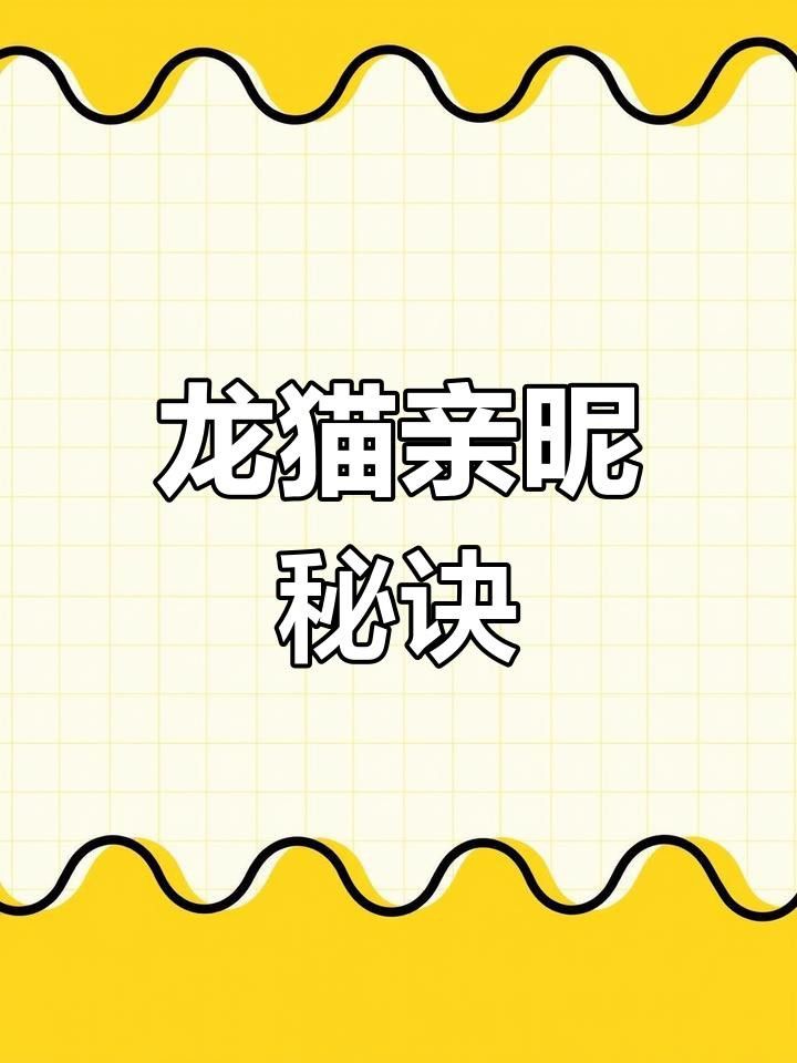 有哪些方法可以幫助龍貓建立信任？ 有哪些方法可以幫助龍貓建立信任？ 龍魚百科 第5張