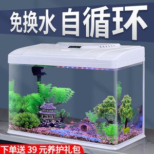 什么魚缸牌子好（市場(chǎng)上口碑較好的魚缸品牌推薦）