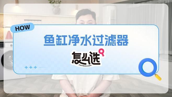 推薦幾款適合過背金龍的過濾設備 推薦幾款適合過背金龍的過濾設備 龍魚百科 第6張