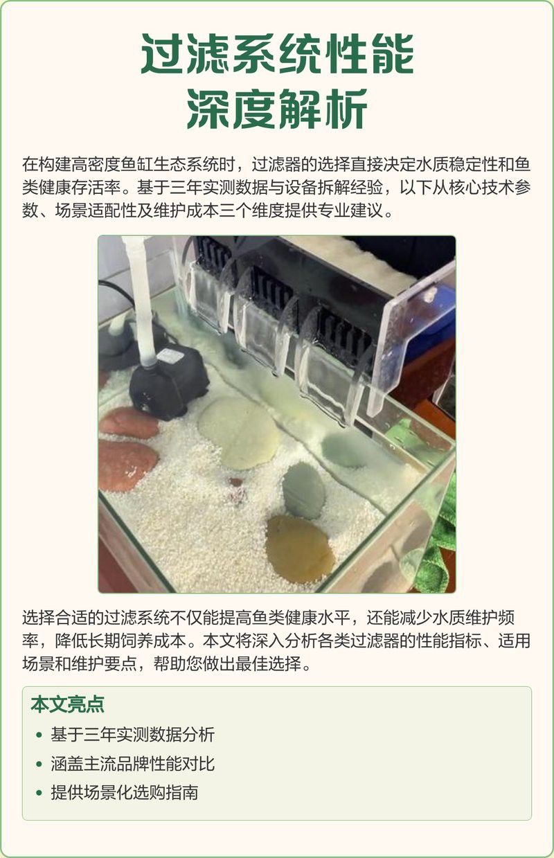 如何保持24K過背金龍的水質穩定？
