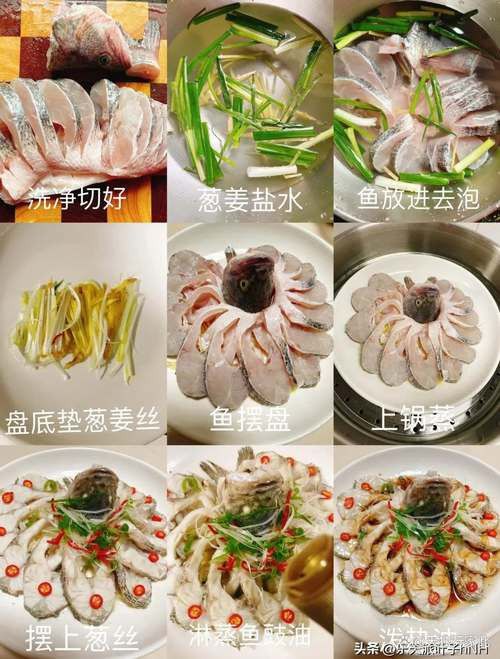 盤龍魚圖片欣賞 龍魚百科 第8張 盤龍魚圖片欣賞 盤龍魚圖片欣賞 龍魚百科 第8張