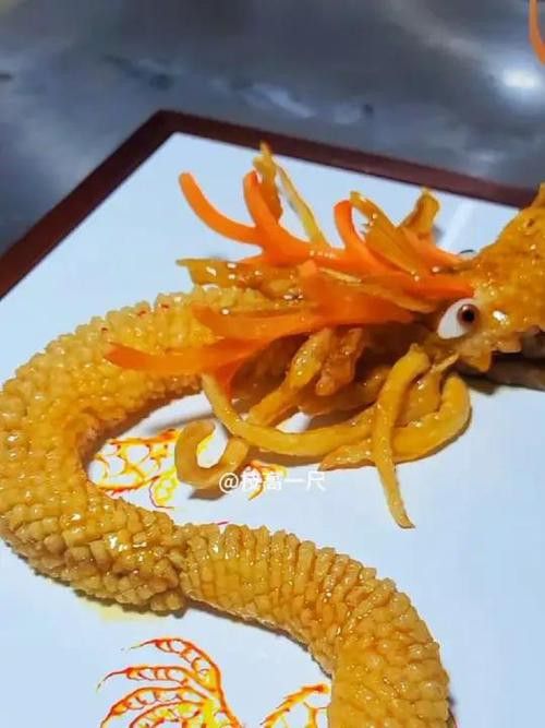 盤龍魚圖片欣賞 龍魚百科 第17張 盤龍魚圖片欣賞 盤龍魚圖片欣賞 龍魚百科 第17張