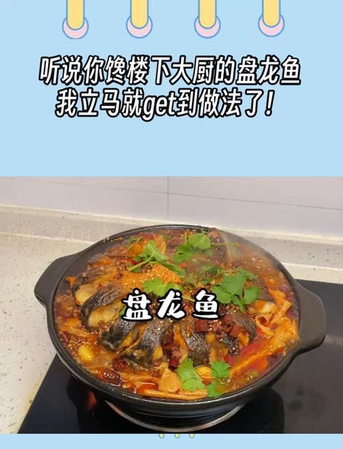 盤龍魚圖片欣賞 龍魚百科 第15張 盤龍魚圖片欣賞 盤龍魚圖片欣賞 龍魚百科 第15張
