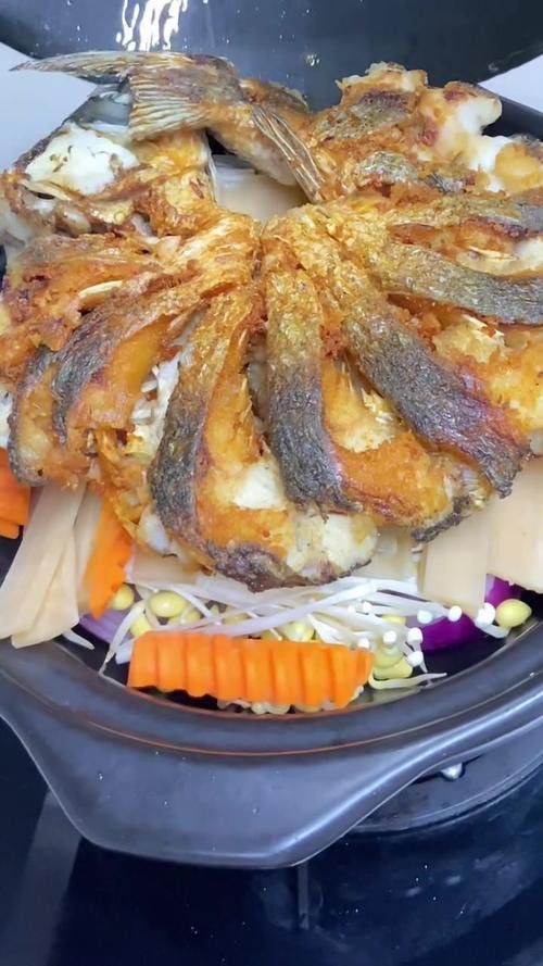 盤龍魚圖片欣賞 龍魚百科 第22張 盤龍魚圖片欣賞 盤龍魚圖片欣賞 龍魚百科 第22張