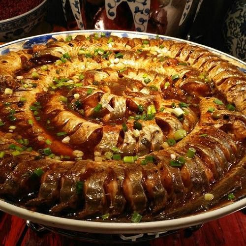 盤龍魚圖片欣賞 龍魚百科 第19張 盤龍魚圖片欣賞 盤龍魚圖片欣賞 龍魚百科 第19張