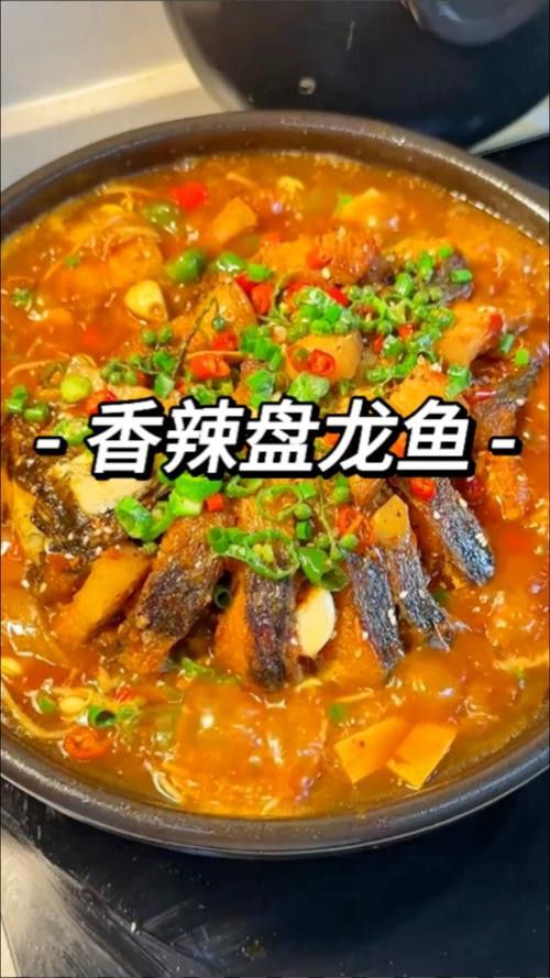 盤龍魚圖片欣賞 龍魚百科 第25張 盤龍魚圖片欣賞 盤龍魚圖片欣賞 龍魚百科 第25張