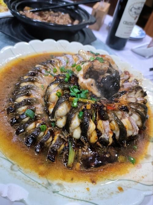 盤龍魚圖片欣賞 龍魚百科 第23張 盤龍魚圖片欣賞 盤龍魚圖片欣賞 龍魚百科 第23張